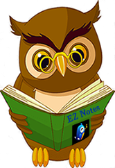 EZ_Notes_Owl_Study